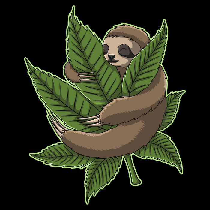 Lazy Sloth Cannabis Leaf Sustainable Bucket Hat