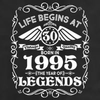Life Begins At 30 Born In 1995 Year Of Legends Adult Drive Performance Visor