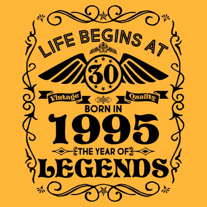 Life Begins At 30 Born In 1995 Year Of Legends Short Acrylic Beanie