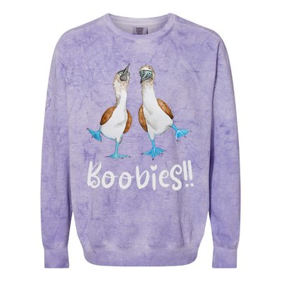 Love Bluefooted Boobies Bird Nerd For Birdwatching Colorblast Crewneck Sweatshirt