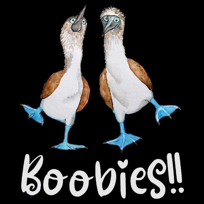 Love Bluefooted Boobies Bird Nerd For Birdwatching Cropped Pullover Crew