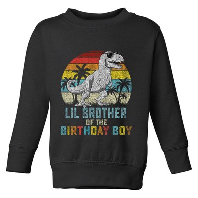 Lil Brother Dinosaur Of The Birthday Matching Family Toddler Sweatshirt