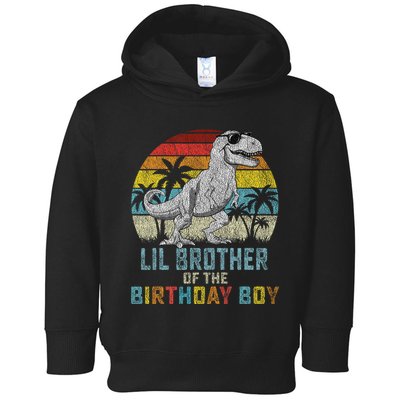 Lil Brother Dinosaur Of The Birthday Matching Family Toddler Hoodie