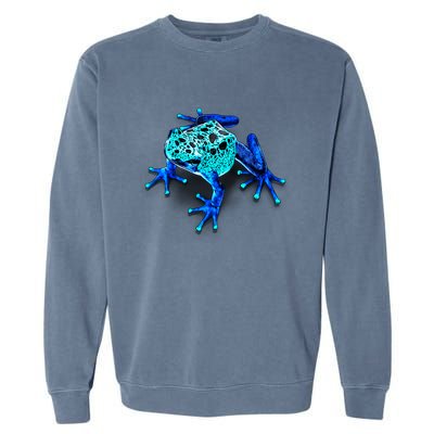 Little Blue Frog With Spots Garment-Dyed Sweatshirt