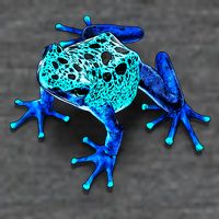 Little Blue Frog With Spots Backpack