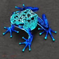 Little Blue Frog With Spots Vector Backpack