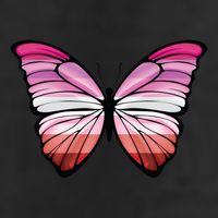 Lesbian Butterfly Hypolimnas Lesbian Pride Flag 7 Panel Mesh Trucker Snapback Hat