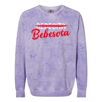 Latina Bebesota Colorblast Crewneck Sweatshirt