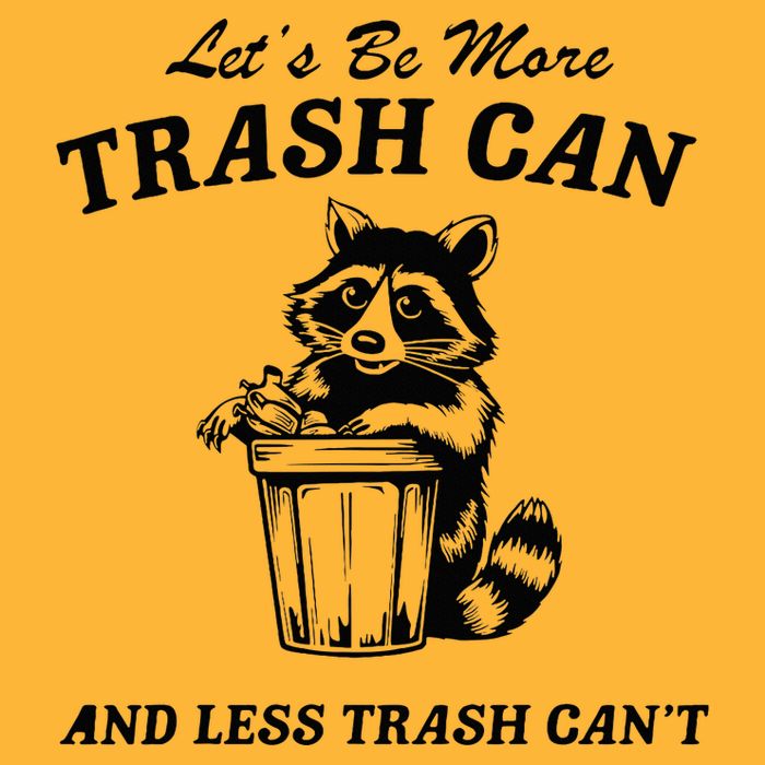 LetS Be More Trash Can And Less Trash CanT Cute Raccoon Pom Pom 12in Knit Beanie
