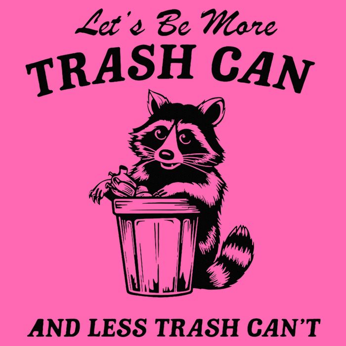 LetS Be More Trash Can And Less Trash CanT Cute Raccoon Stripe Pom Pom Beanie