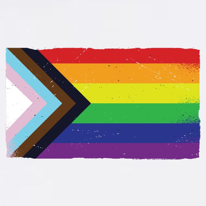 LGTBQ Black Pride Flag T-Shirt