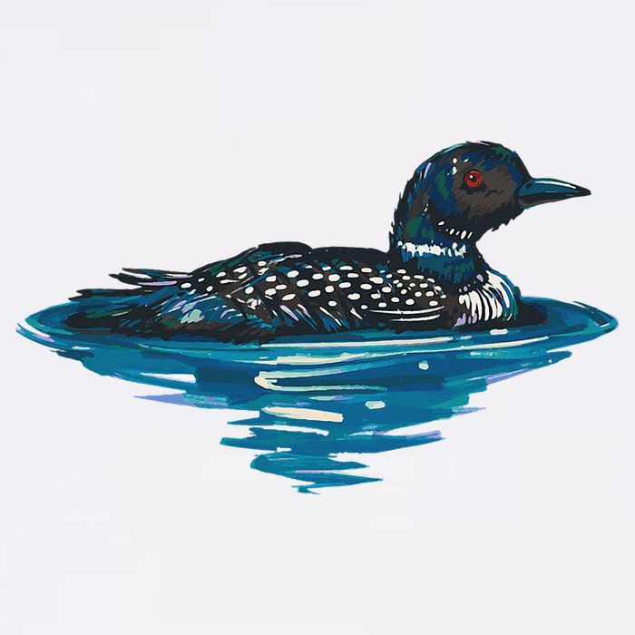 Loon Bird Painting Duck Lake Sweatshirt
