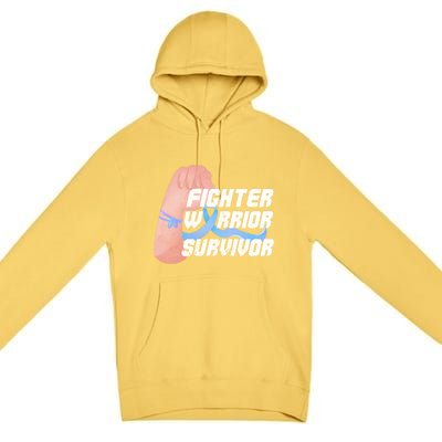 Light Blue Ribbon Fighter Warrior Prostate Cancer Awareness Gift Premium Pullover Hoodie