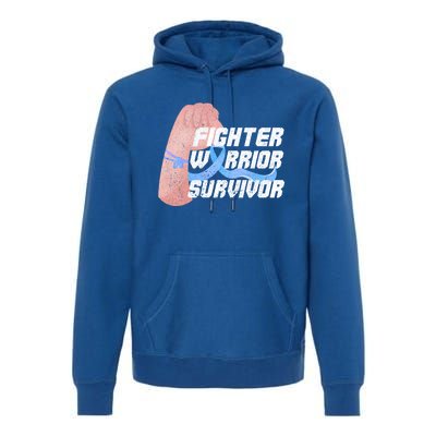 Light Blue Ribbon Fighter Warrior Prostate Cancer Awareness Gift Premium Hoodie