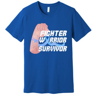 Light Blue Ribbon Fighter Warrior Prostate Cancer Awareness Gift Premium T-Shirt