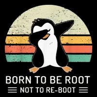 Linux Born To Be Boot Not To Be Root Funny Retro Linux Hoodie