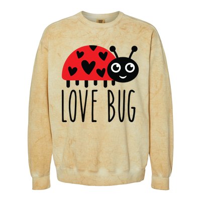 Love Bug Valentine's Day, Cute Ladybug With Hearts Gift Colorblast Crewneck Sweatshirt