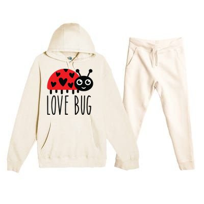 Love Bug Valentine's Day, Cute Ladybug With Hearts Gift Premium Hooded Sweatsuit Set