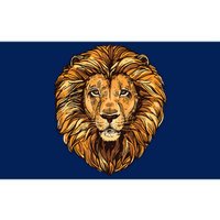 Lion Boy Womens Lion Graphic Tees For Women Men Bumper Sticker