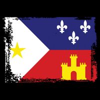 Louisiana Cajun Acadiana Flag Cooling Performance Crew T-Shirt