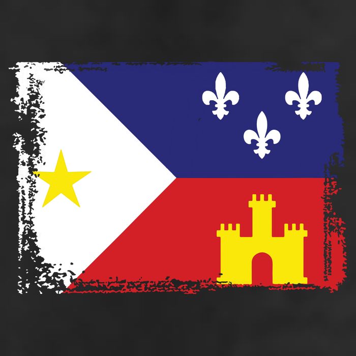 Louisiana Cajun Acadiana Flag Adult Drive Performance Visor