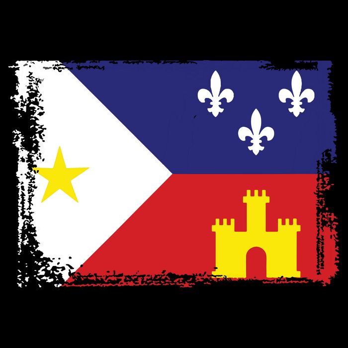 Louisiana Cajun Acadiana Flag Bag