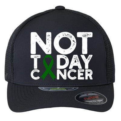 Liver Cancer Awareness Not Today Cancer Green Ribbon Gift Flexfit Unipanel Trucker Cap