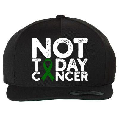 Liver Cancer Awareness Not Today Cancer Green Ribbon Gift Wool Snapback Cap