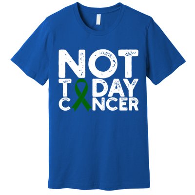 Liver Cancer Awareness Not Today Cancer Green Ribbon Gift Premium T-Shirt