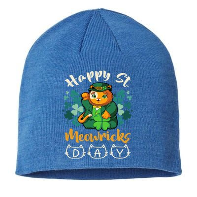 Leprechaun Cat Costume For St Patricks Day Gift Sustainable Beanie