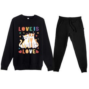 Love Cat Couple Gift Love Is Love Gift Valentine's Day Gift Premium Crewneck Sweatsuit Set