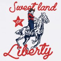 Liberty City Cowboy 4th Of July Sweet Land Liberty Cowboy Apron