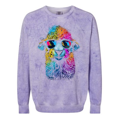 Lama Colorful Cool Alpaca Alpacalover Colorblast Crewneck Sweatshirt