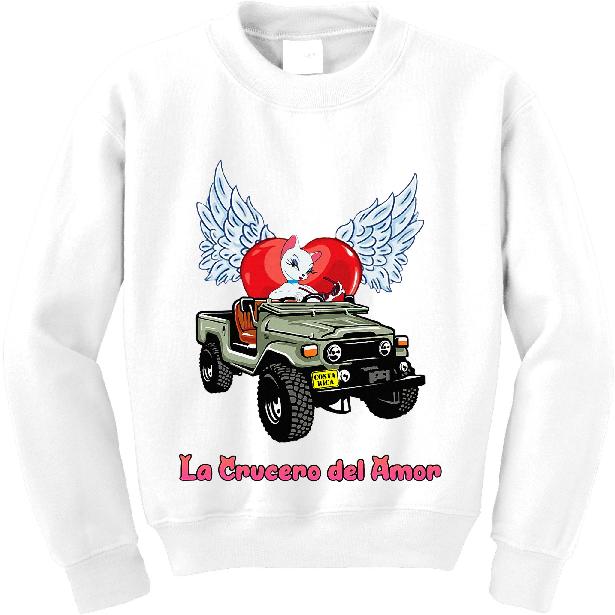 La Crucero Del Amor Costa Rica Kitten Cat Pretty Cruiser Kids Sweatshirt
