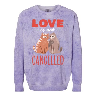 Love Cat Design Gift Love Is Not Cancelled Meaningful Gift Colorblast Crewneck Sweatshirt