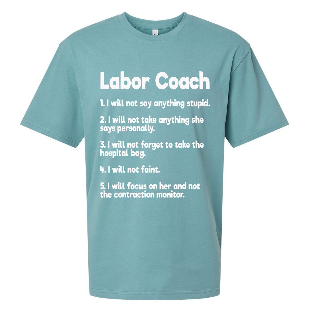 Labor Coach Expecting Dad Rules Papa Funny Baby Sueded Cloud Jersey T-Shirt