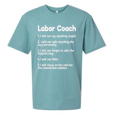 Labor Coach Expecting Dad Rules Papa Funny Baby Sueded Cloud Jersey T-Shirt