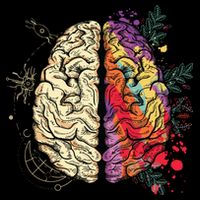 Logical Creative Human Brain Magnet