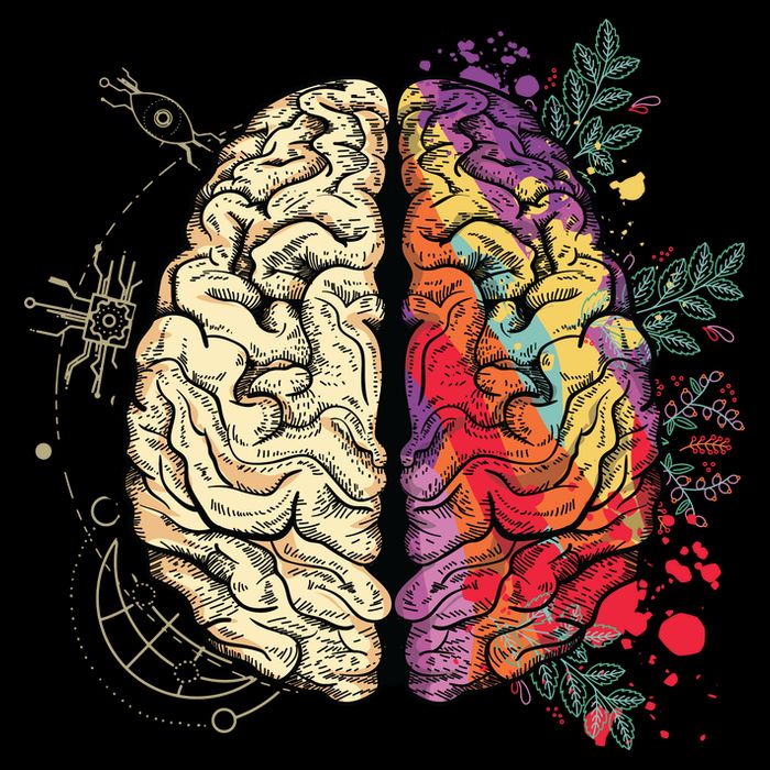 Logical Creative Human Brain Magnet