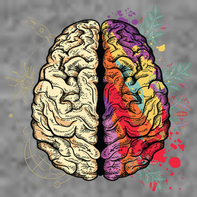 Logical Creative Human Brain T-Shirt