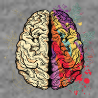 Logical Creative Human Brain Cropped Pullover Crew