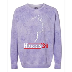 Lorenzothecat Cat Harris24 Colorblast Crewneck Sweatshirt