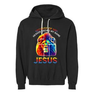 Lion Cross Jesus Christian Lord God Believer Garment-Dyed Fleece Hoodie