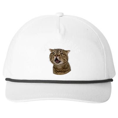 Lulusaurus Cute Kittens Cat Lover Snapback Five-Panel Rope Hat