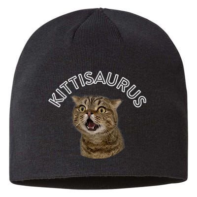 Lulusaurus Cute Kittens Cat Lover Sustainable Beanie