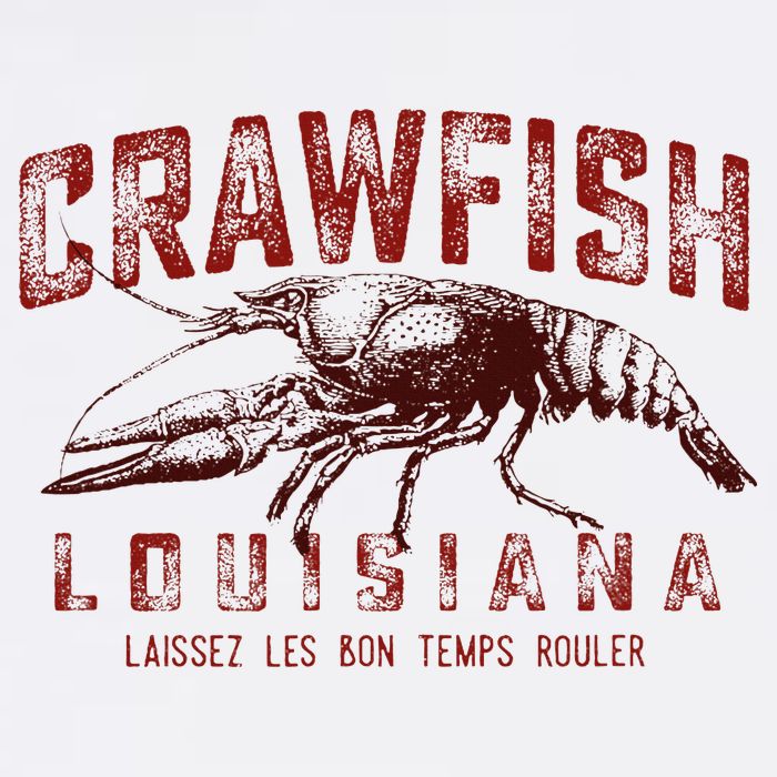 Louisiana Crawfish Laissez Les Bon Temps Rouler Womens T-Shirt