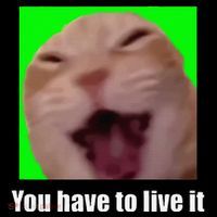 Laughing Cat Meme Baby Bodysuit