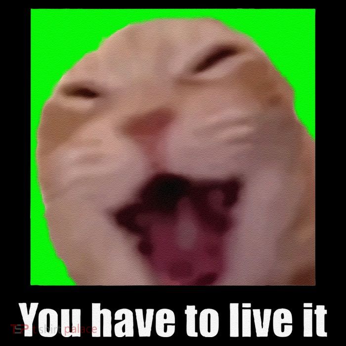 Laughing Cat Meme Baby Bodysuit