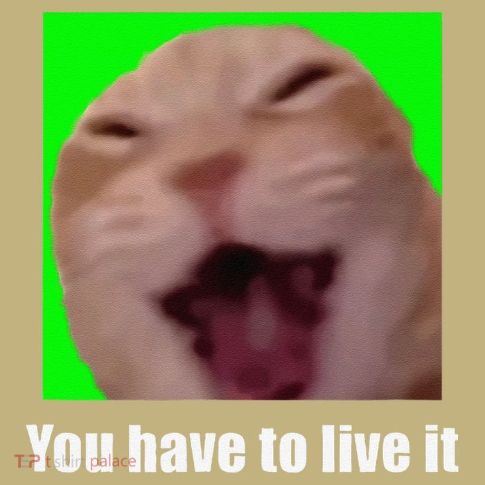 Laughing Cat Meme T-Shirt