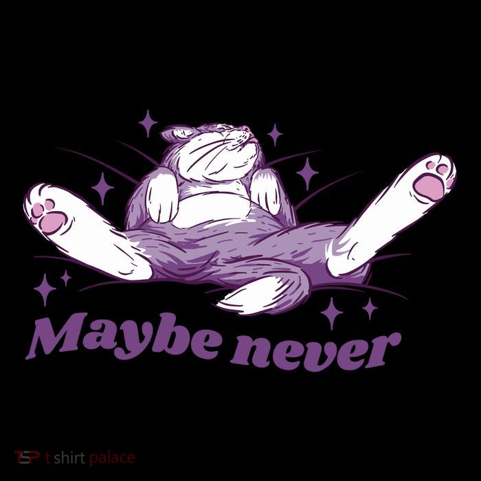 Lazy Cat Maybe Never Funny Hoodie